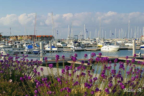 Port_Medoc_Verdon